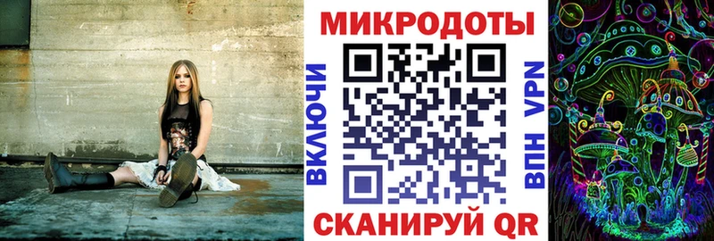 Купить где  Донской  Псилоцибиновые грибы GOLDEN TEACHER 